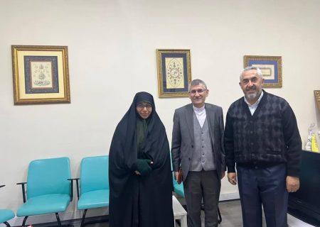 برگزاری نمایشگاه توانمندی هنرمندان ایرانی در شهر استانبول