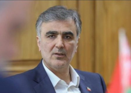 فرزین: نهاده‌های دامی مثل کالاهای اساسی ارز ترجیحی می‌گیرند