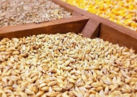 وزیر جهاد کشاورزی: توزیع ۴ میلیون تن نهاده دامی به‌زودی آغاز می‌شود