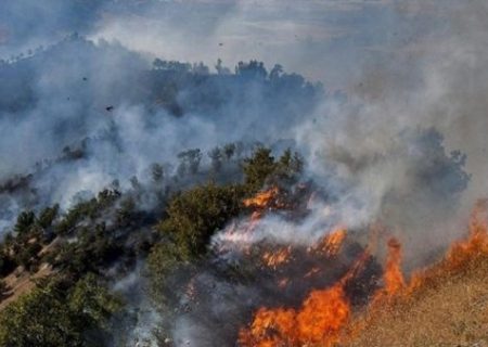 آتش‌سوزی در مراتع جنگلی روستای نمنق جلفا