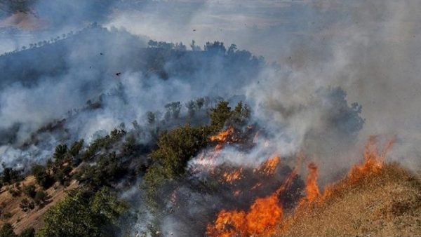 آتش‌سوزی در مراتع جنگلی روستای نمنق جلفا