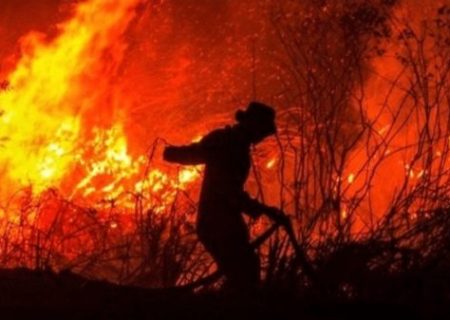 جنگل‌های نمنق جلفا چشم‌به‌راه بالگردهای اطفای حریق