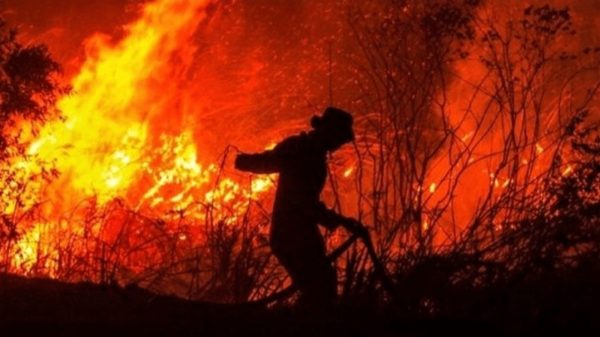 جنگل‌های نمنق جلفا چشم‌به‌راه بالگردهای اطفای حریق