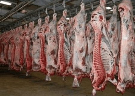روزانه چند راس دام سنگین و سبک در تبریز کشتار می‌شود؟