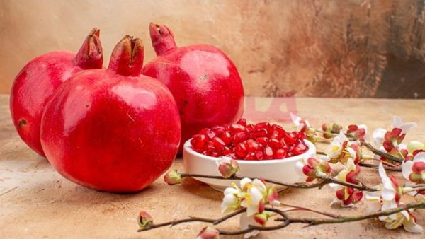 یاقوت‌هایی با طعم شیرین زندگی