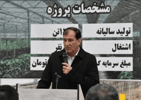 آذربایجان‌شرقی رتبه اول بسته بندی و صادرات خرما بدون یک نخل خرما