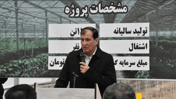 آذربایجان‌شرقی رتبه اول بسته بندی و صادرات خرما بدون یک نخل خرما