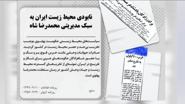 محیط‌زیست در حراج دربار پهلوی