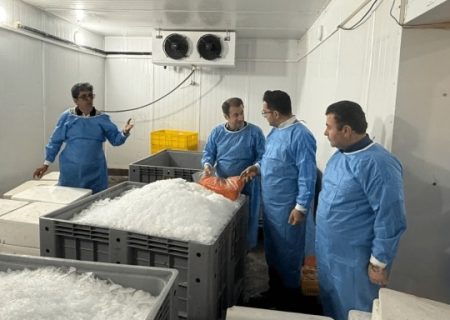 صادرات ۱۸ میلیون کیلوگرم فرآورده خام دامی از آذربایجان‌شرقی