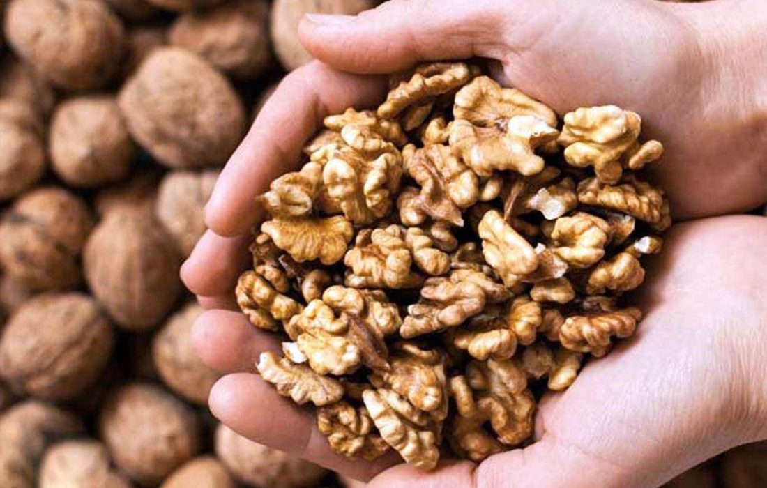 افزایش ۲۲ درصدی تولید گردو در آذربایجان شرقی
