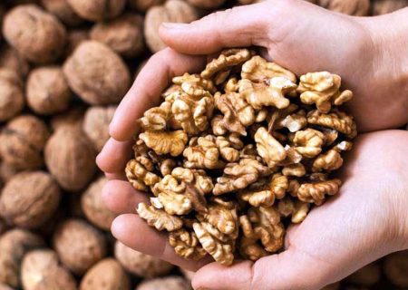 افزایش ۲۲ درصدی تولید گردو در آذربایجان شرقی