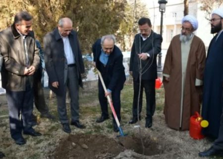 آغاز کاشت سه میلیون اصله نهال در آذربایجان شرقی/استاندار پیگام شد