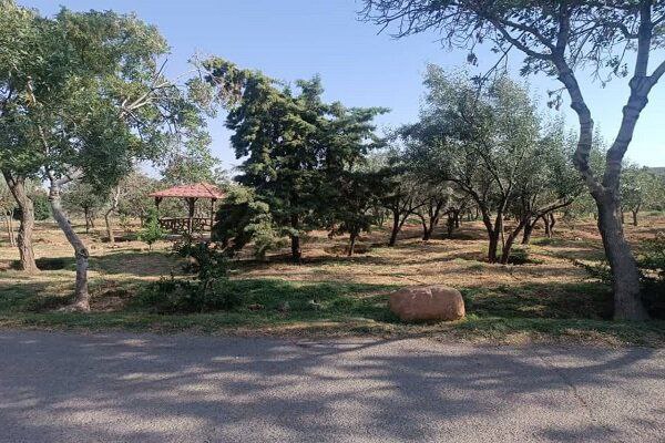 پارک جنگلی ارم؛ بهشتی سبز در دل تبریز