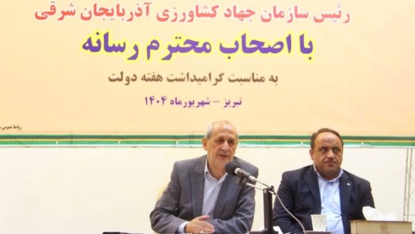 علت افزایش قیمت مرغ؛ گرمای شدید و ناترازی انرژی
